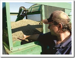 hemp-seed-farmer